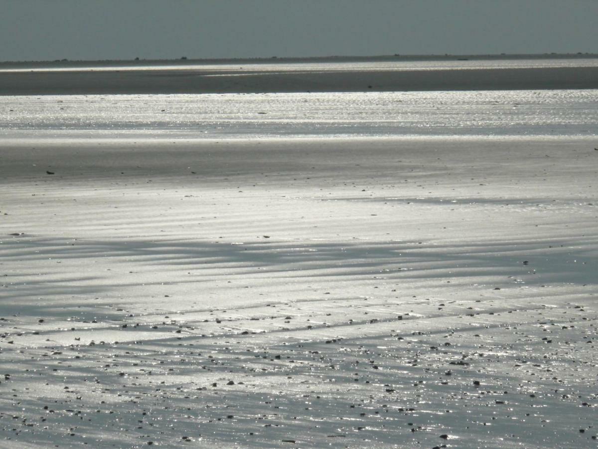 Wad Else Villa Lauwersoog Eksteriør bilde